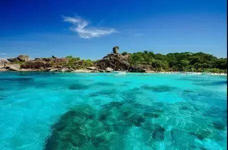 水槽选择哪种材质的好清洗又省钱?-知识星球平台-携程旅行网