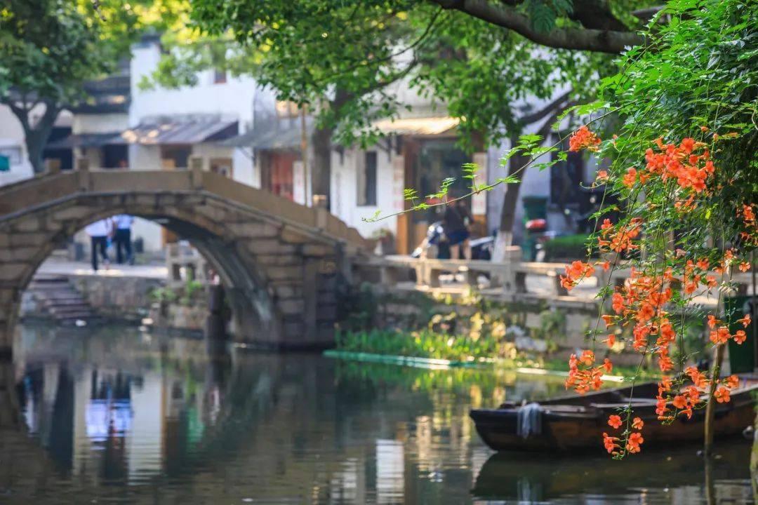 热议熊出没之重返地球算不算爱国?,尽在熊出没之重返地球算不算爱国?红迪网!
